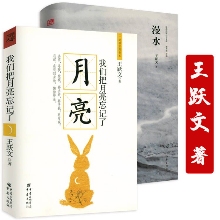 我们把月亮忘记了 漫水 (全2册)书籍