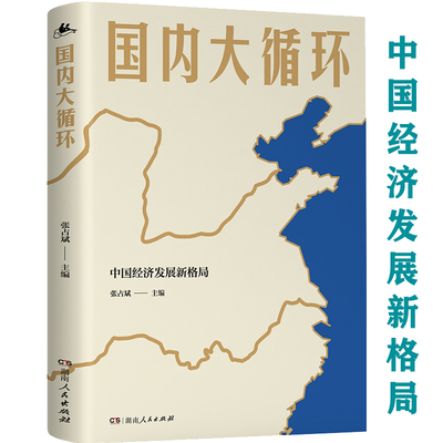 国内大循环中国经济发展新格局中国经济的问题与对策贴近决策层的视角彻底讲透新发展格局下的战略与机遇结构性改革经济理论书籍