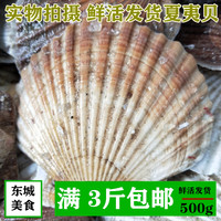 海鲜水产鲜活大扇贝新鲜扇贝肉夏夷贝蒜蓉粉丝贝鲜活发货包邮
