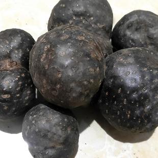 新鲜黄独 黄药子零余子 金钱吊虾蟆 香芋 黄狗头 土芋 雷公薯包邮