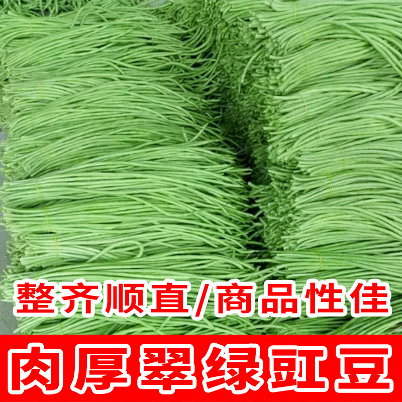 豇豆种子大全四季播种蔬菜种籽子