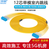 ST电信级多芯室内分支缆5G机房布线集束光缆光纤跳线尾缆 定制 波钢12芯24芯单模分支尾纤跳线SC
