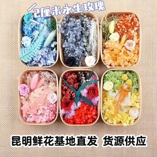 真花永生花干燥干花盒手工diy制作混装材料包团扇
