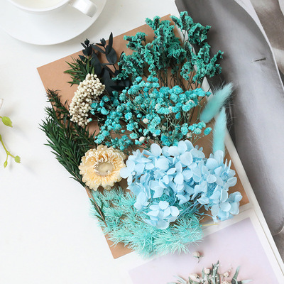 永生花情人草雏菊干花花材包