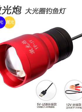 12V蓝光夜钓钓鱼灯头激光炮大功率大光圈USB接头5V外接充电宝电源