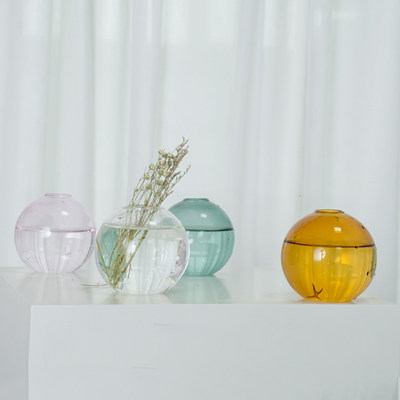 植物透明玻璃花瓶容器绿萝水养