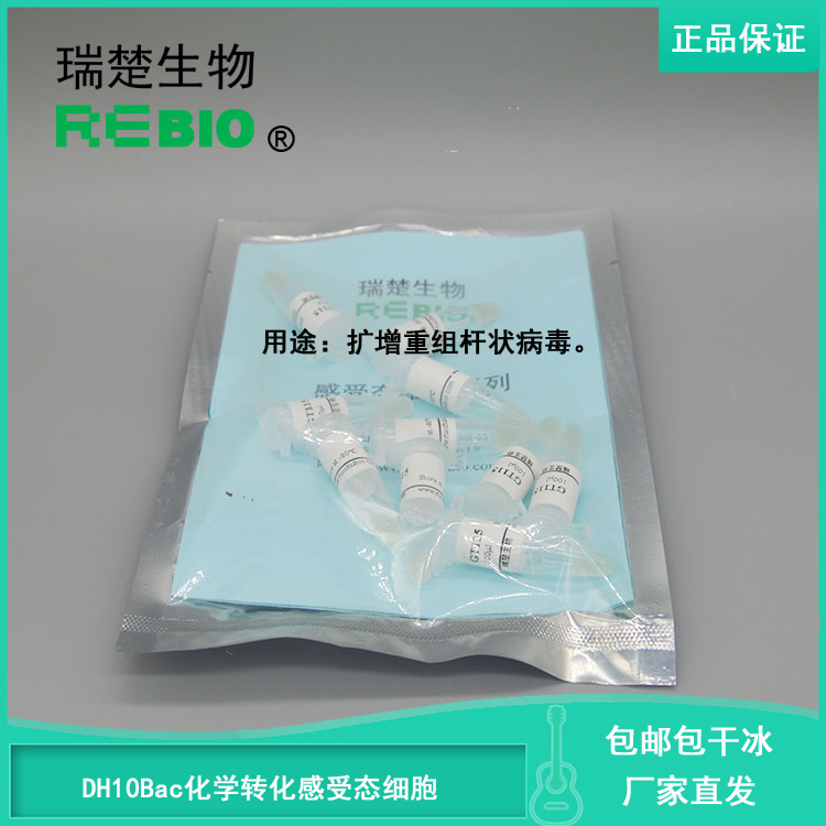 顺丰包邮包干冰DH10Bac化学转化感受态细胞大肠杆菌10支20支50支