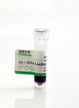 10×DNA Loading buffer 10×1ml REBIO R04006  核酸电泳