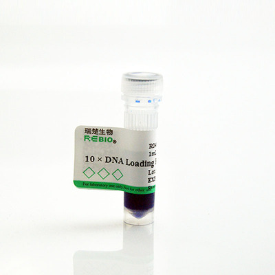 10×DNA Loading buffer 10×1ml REBIO R04006  核酸电泳