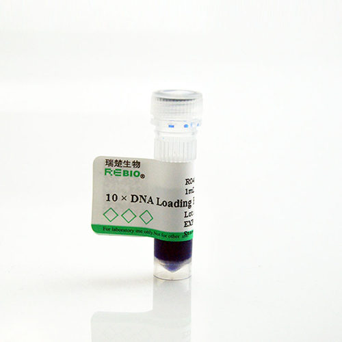 10×DNA Loading buffer 10×1ml REBIO R04006  核酸电泳