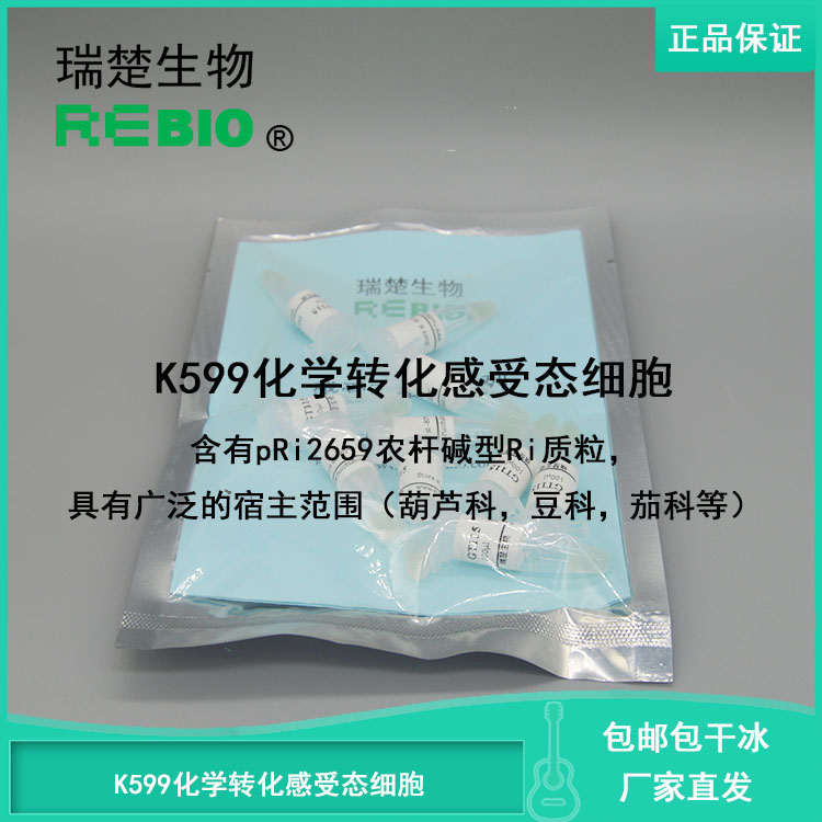 顺丰包邮包干冰K599化学转化感受态细胞发根农杆菌10支20支50支