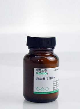 科研试剂  脂肪酶（猪胰）  CAS 9001-62-1 3万u/g  R12020893
