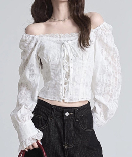 女装 衬衣气质上衣短款 微胖mm蝴蝶暗纹刺绣花边白衬衫 新款 秋季 大码
