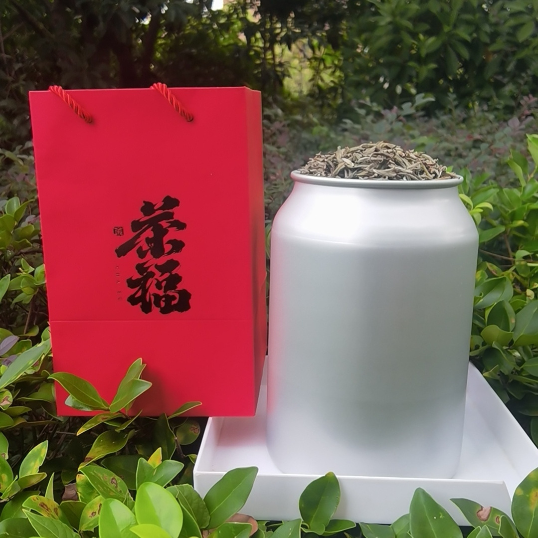 2022头采白毫银针 蜜香老白茶 3年陈化蜜韵 收藏级茶叶礼盒装