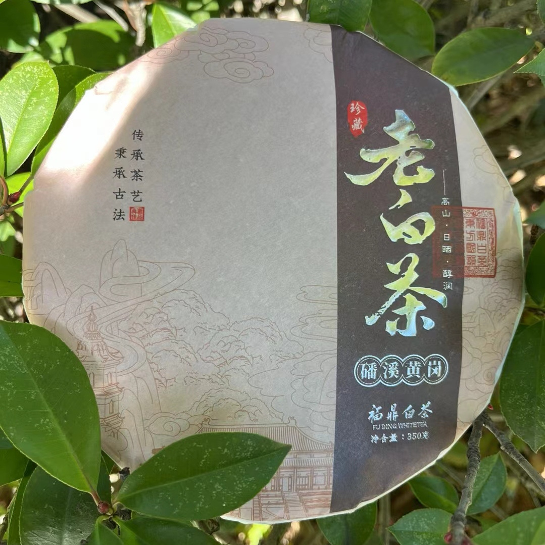 【2018年陈香老白茶饼】福鼎高山料｜日晒工艺｜醇厚回甘耐冲泡