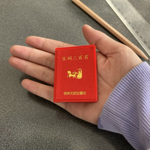 中国古诗词鉴赏赏析 国学经典 宋词三百首小小口袋丛书微型书吉林文史出版 迷你小礼物