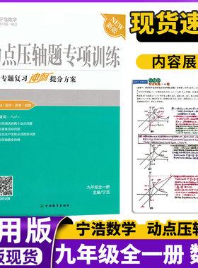 宁浩数学动点压轴题九年级