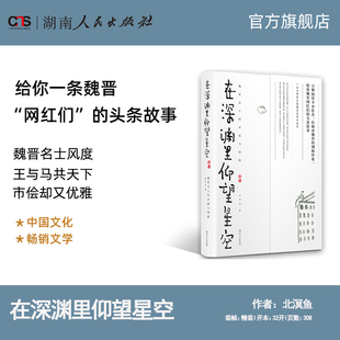 卑微与骄傲 在深渊里仰望星空魏晋名士 北溟鱼著打破对魏晋 刻板印象魏晋历史人物 社 头条故事湖南人民出版 正版