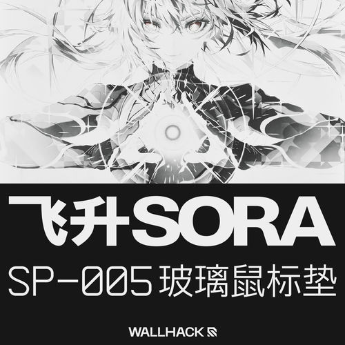 WALLHACK沃哈克飞升SORA玻璃垫