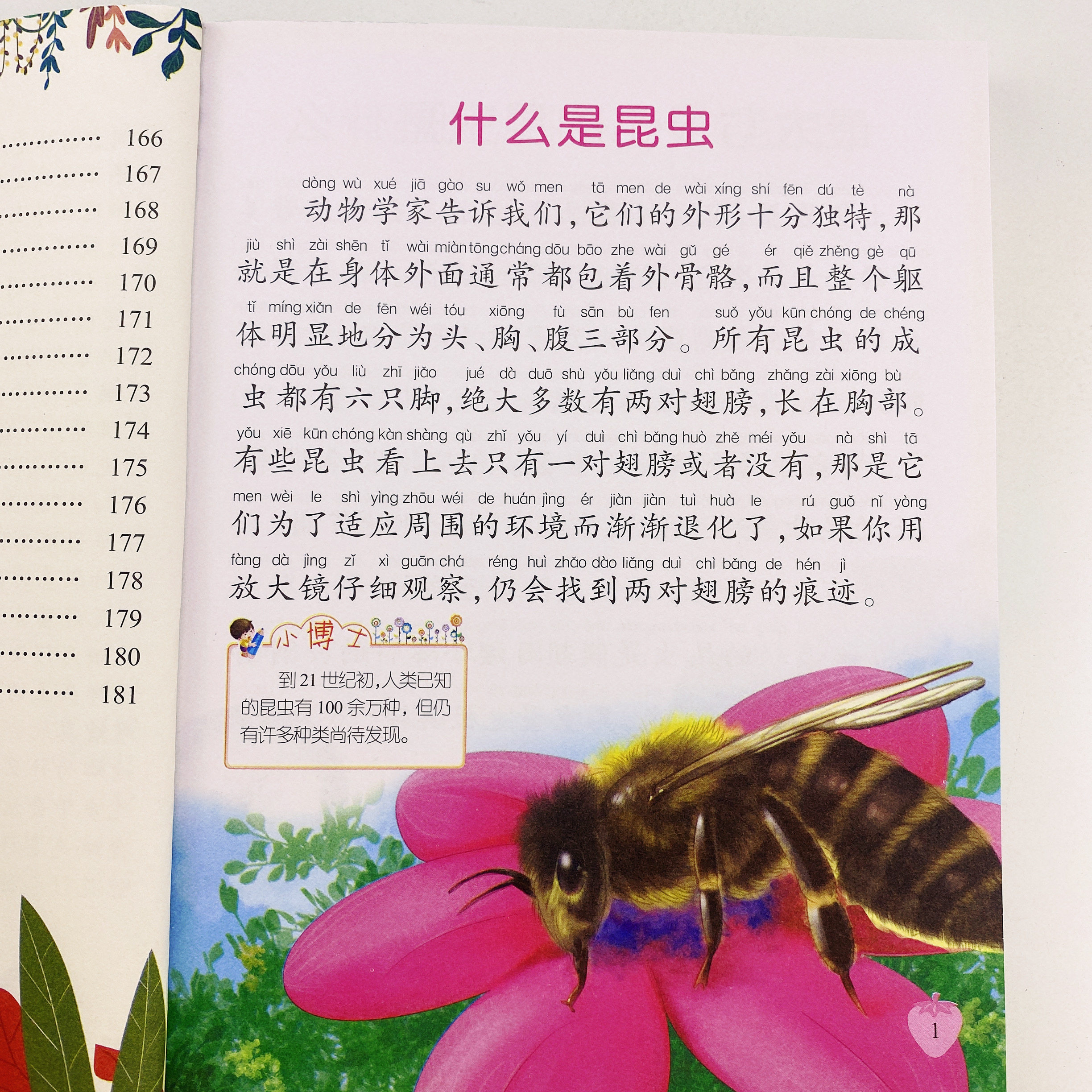 昆虫王国百科儿童版6-12岁彩图精装注音版 小学生畅销书幼儿科普书籍