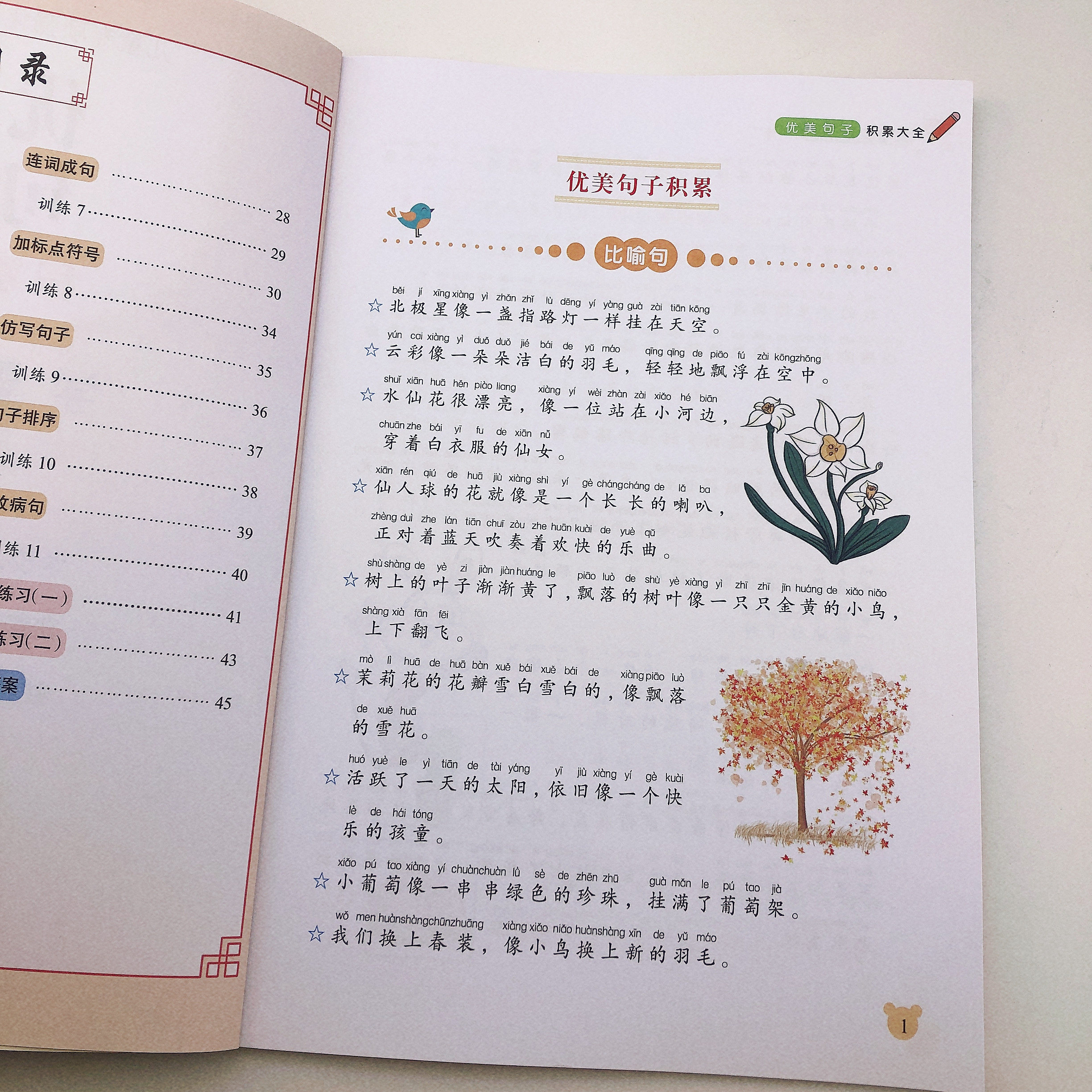 小学生优美句子大全小学语文专项训练本人教版小学语文知识手册一二三