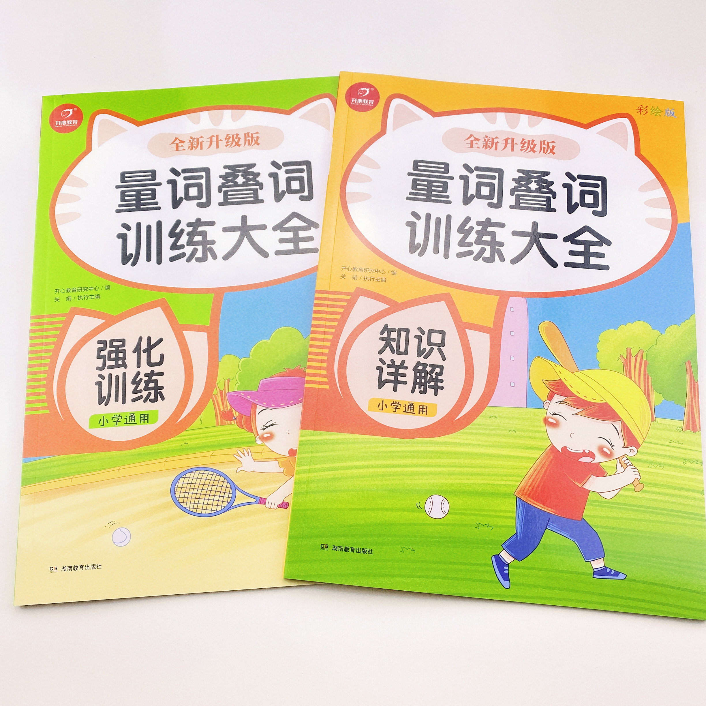 小学语文知识大全词语积累手册叠词量词训练重叠词aabb叠字书小学生一二三年级专项训练成语重点汇总人教版彩图拼音版abab通用