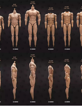 现货 23TOYS 1/6 23-BD001-6 男高兵人素体