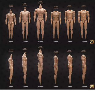 23TOYS BD001 男高兵人素体 现货
