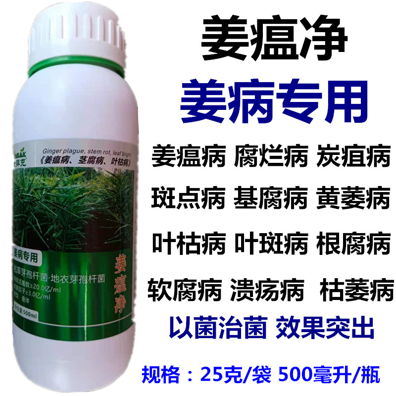 姜瘟净姜瘟病生姜专用药枯萎干尖黄叶黄萎烂脖子腐烂青枯根腐死苗