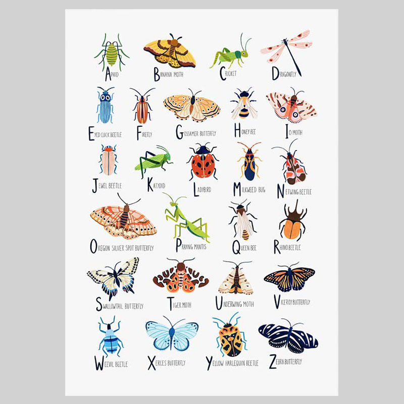 美国Ambers Textiles昆虫图谱儿童房小众插图打印画芯贴画海报