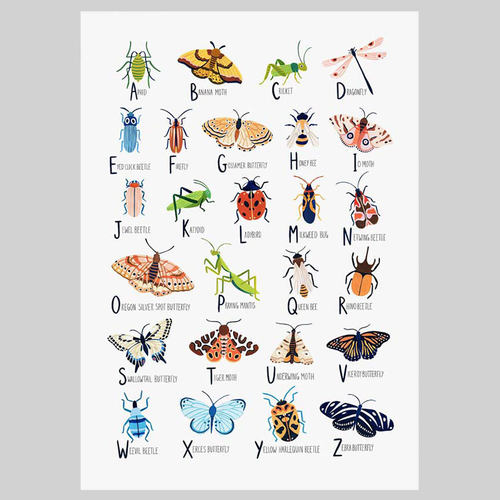 美国Ambers Textiles昆虫图谱儿童房小众插图打印画芯贴画海报