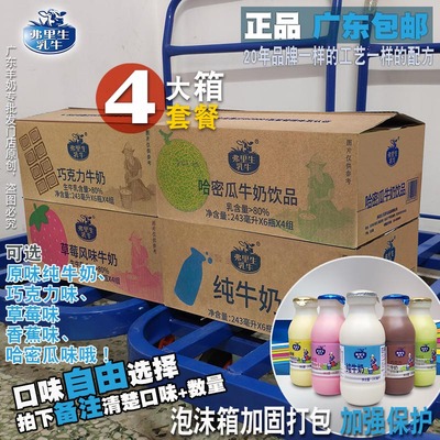 弗里纯牛奶甜奶广东早餐瓶装新鲜