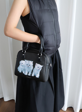 2801“萌宠天使”和小猫小狗玩 复古小众爪爪盒子包 Paws Box Bag