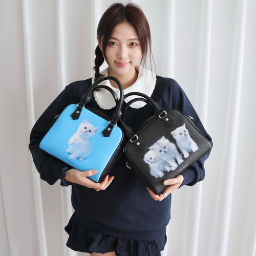 2801“萌宠天使”和小猫小狗玩 复古小众爪爪盒子包 Paws Box Bag