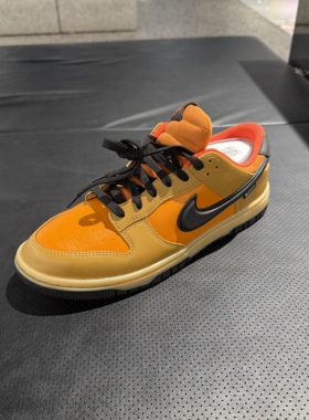 NIKE耐克男子滑板鞋25秋冬新款DUNK LOW GTX运动休闲鞋HQ2053-700