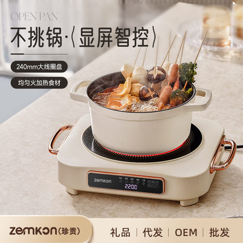 德国Zemkon迷你电陶炉围炉煮茶