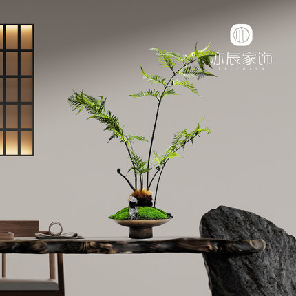 新中式宋氏仿真花绿植摆件永生苔藓蕨类盆景茶室玄关客厅桌面装饰