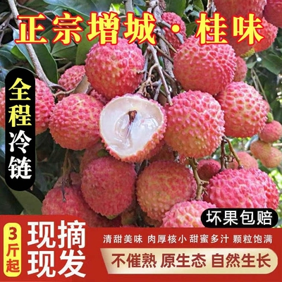 正宗广州增城桂味荔枝新鲜水果现摘现发顺丰包邮非商业果5斤包邮