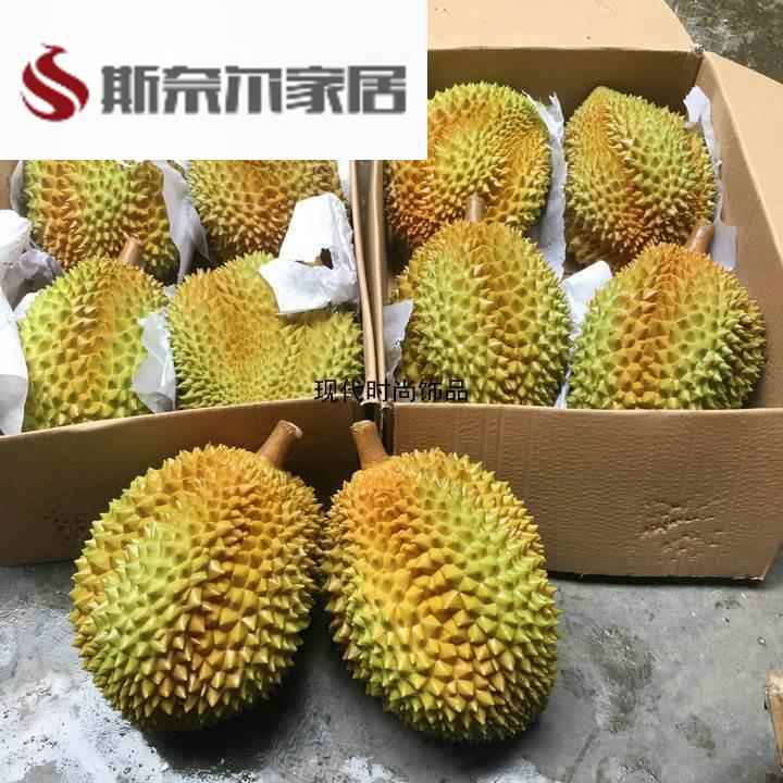 仿真榴莲模型假榴莲哈密瓜塑料金枕模型摄影小品道具水果店摆设