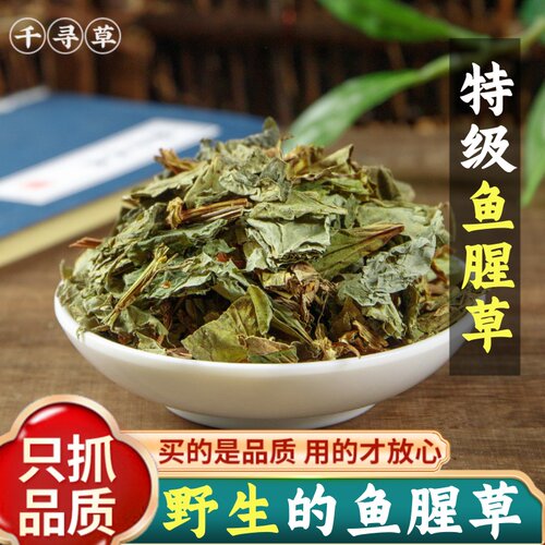 野生四川野生鱼腥草干货500g新鲜