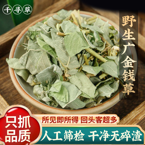 广西野生正品金钱草500g中药材大叶金钱草干中草药新货无硫泡茶水