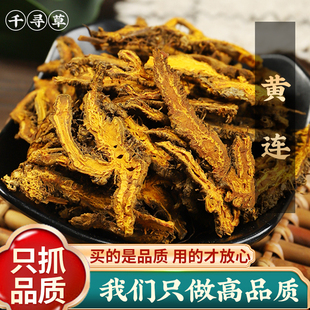 黄连中药材新货川黄连片天然精选优质黄连干无硫非新鲜特级野生连