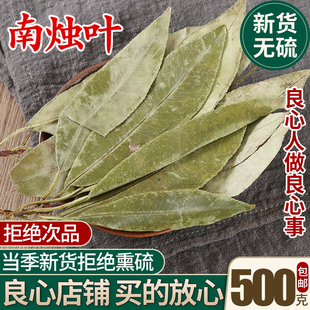 南烛叶 冷背中药材南烛叶竹叶 野生墨饭叶 乌饭树叶500克包邮