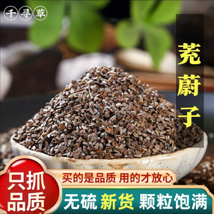 中药材茺蔚子500g克新货充蔚子茺卫子茺玉子益母草种子另售益母草