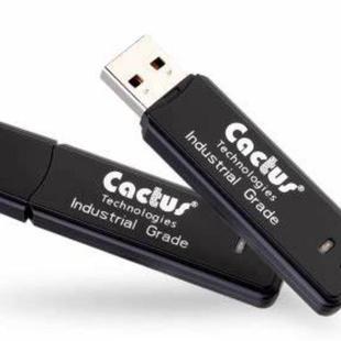 Storage USB Stick KU2GR 1GB Data 2.0 SLC 300