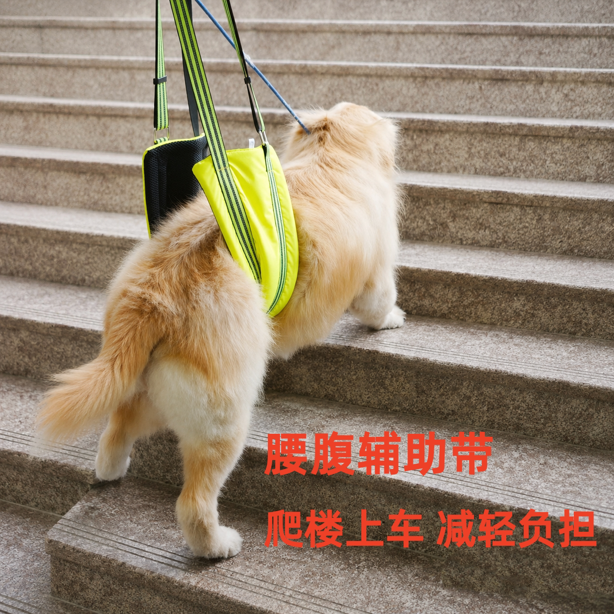 大狗腰腹辅助带老年助行牵引受伤康复金毛拉布拉多边牧柴犬0523