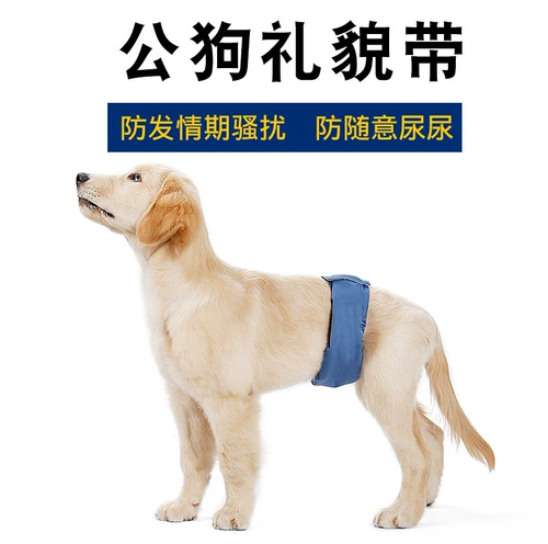 Физиологические штаны Gong Dog Вежливые и анти -харассирование можно вымыть в дышащих плюшевых волоса