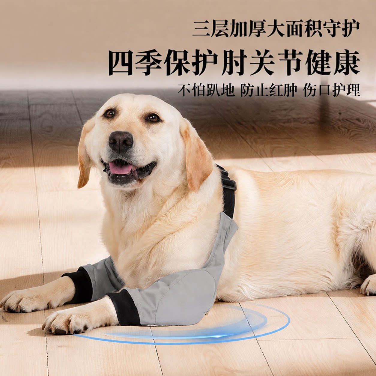 加厚防泼水狗狗前腿护肘关节防磨肿金毛拉布拉多德牧萨摩阿拉斯加