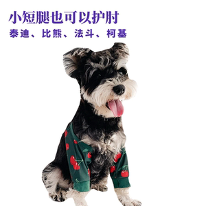 柯基法斗泰迪护肘护膝防磨红肿