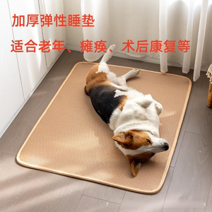 加厚狗睡垫透气透水防潮弹性防褥疮术后恢复后腿瘫痪可洗夏天凉席
